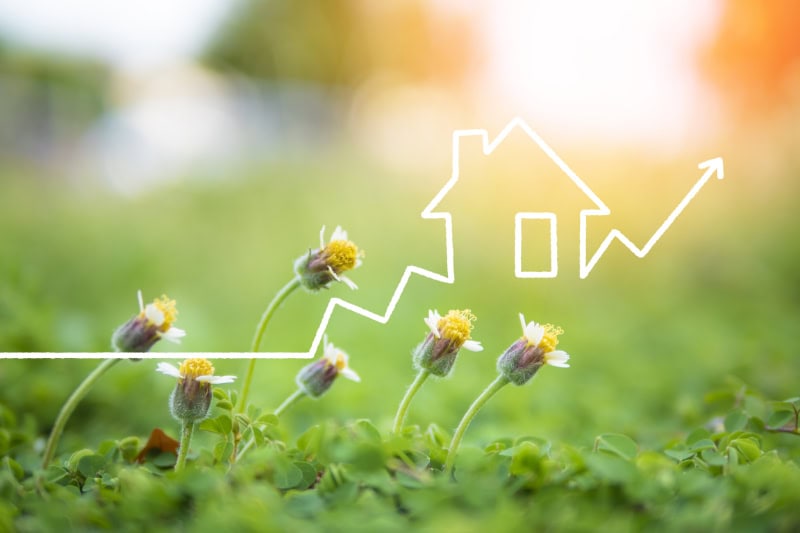 Real estate growth chart pattern drawn with white chalk and blooming flowers.